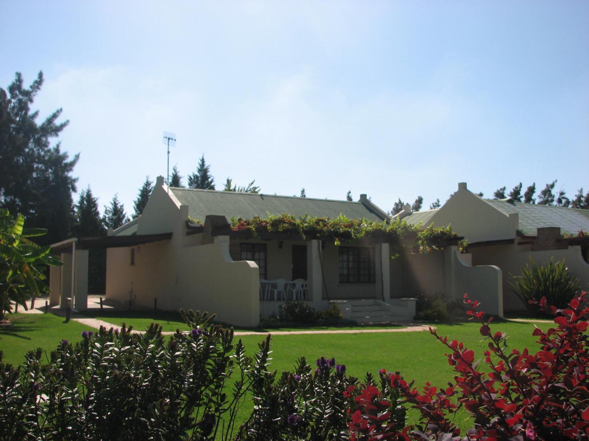 Skilpadvlei Wine Farm Стелленбос Номер фото