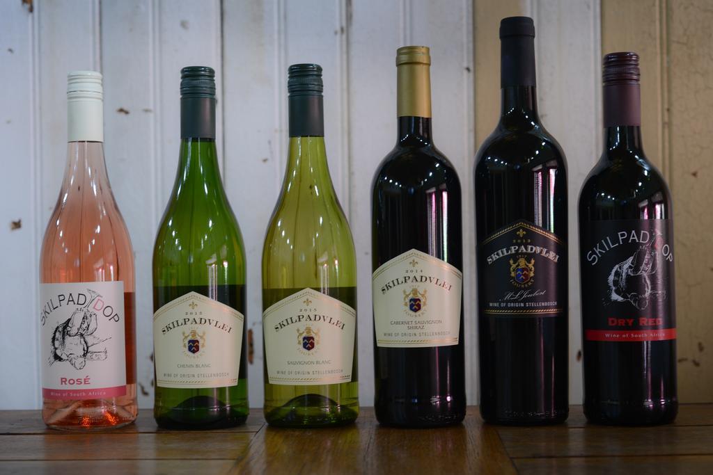 Skilpadvlei Wine Farm Стелленбос Екстер'єр фото