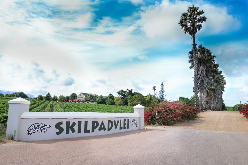 Skilpadvlei Wine Farm Стелленбос Екстер'єр фото